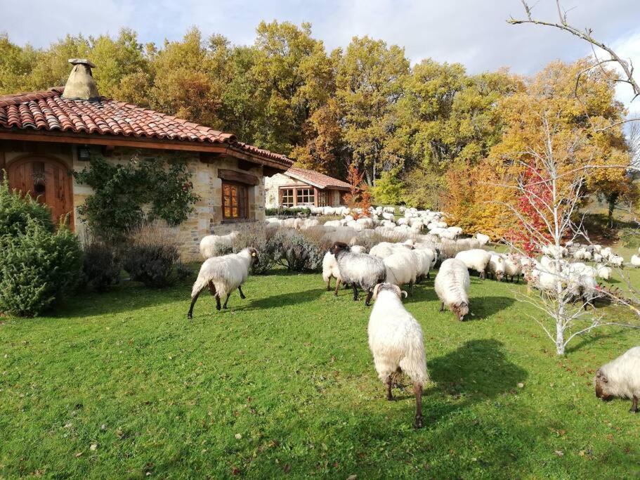 Guikuri Octogono Casa Rural 1, 2 Y 3Pax Villa Murua ภายนอก รูปภาพ